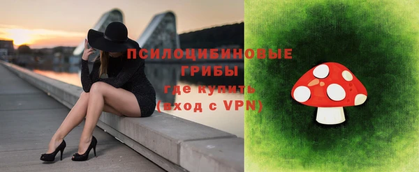 мяу мяу мука Арсеньев