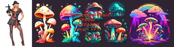 МДПВ Аркадак