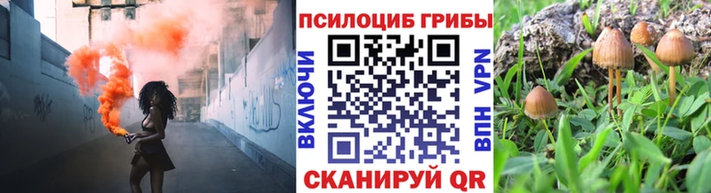 закладки Нефтекамск Псилоцибиновые грибы Psilocybine cubensis